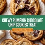 Chewy Pumpkin Chocolate Chip Cookies Recipe
