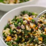 Fall Harvest Pasta Salad Recipe