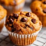 Pumpkin Chocolate Chip Muffins Recipe
